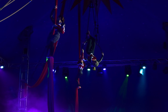 Vertikaltuch und Arealring
